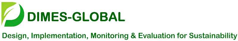DIMES Global Logo